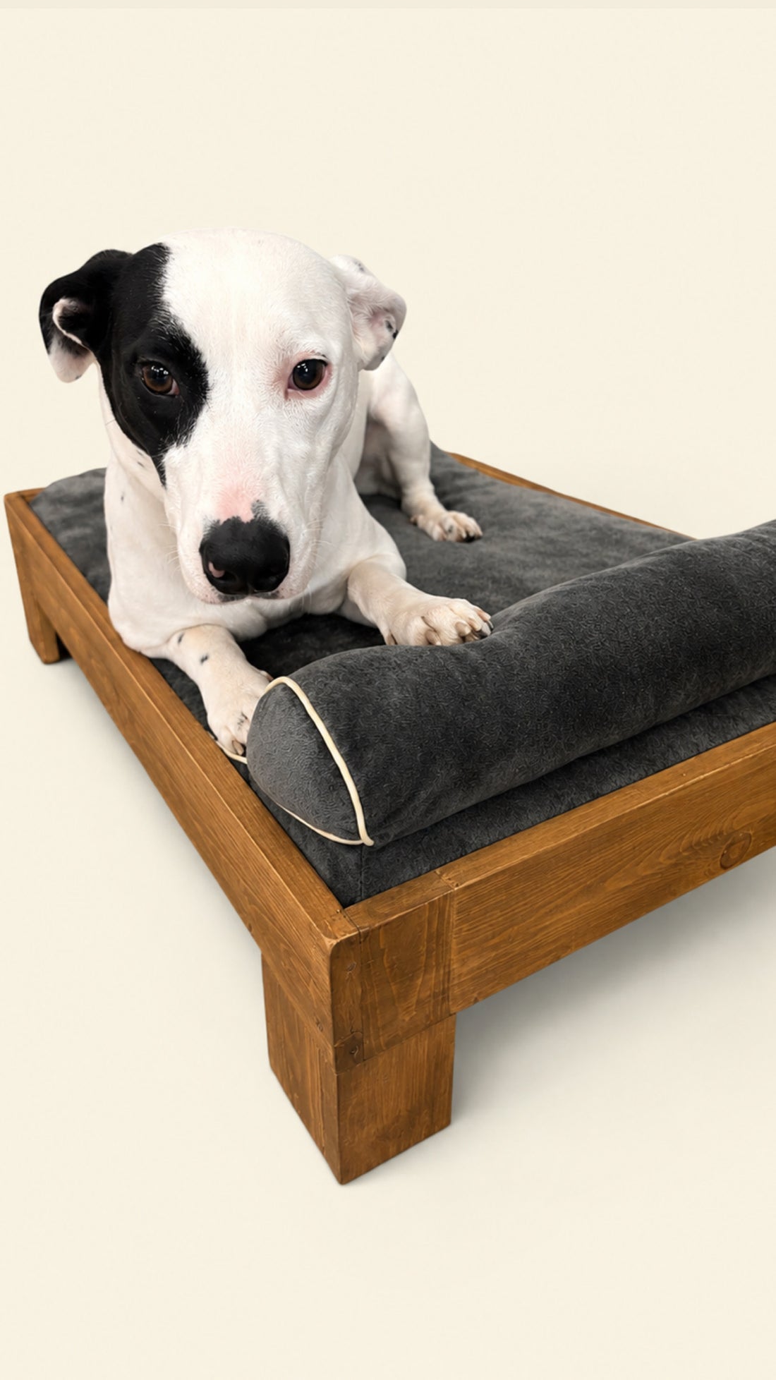 Personalized Orthopedic Bed+Oak Frame