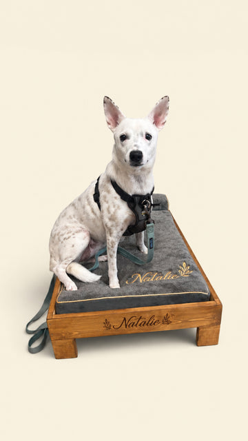Personalized Orthopedic Bed+Oak Frame